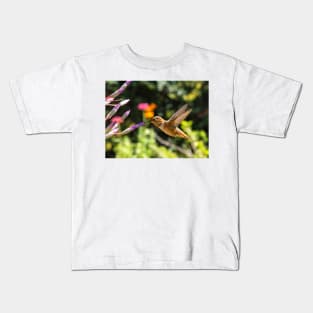 Rufous or Allen's Kids T-Shirt